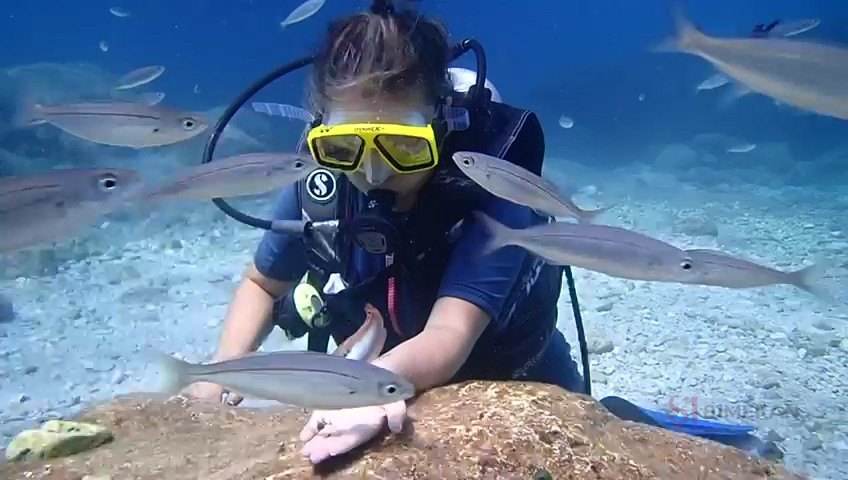 Alanya Magic Dive - Mağazalar