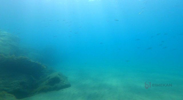 Deep Aqua Dive Center - Mağazalar