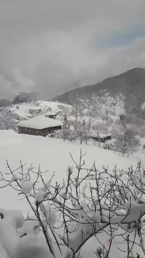 Gemak Altınova Tersanesi - Mağazalar