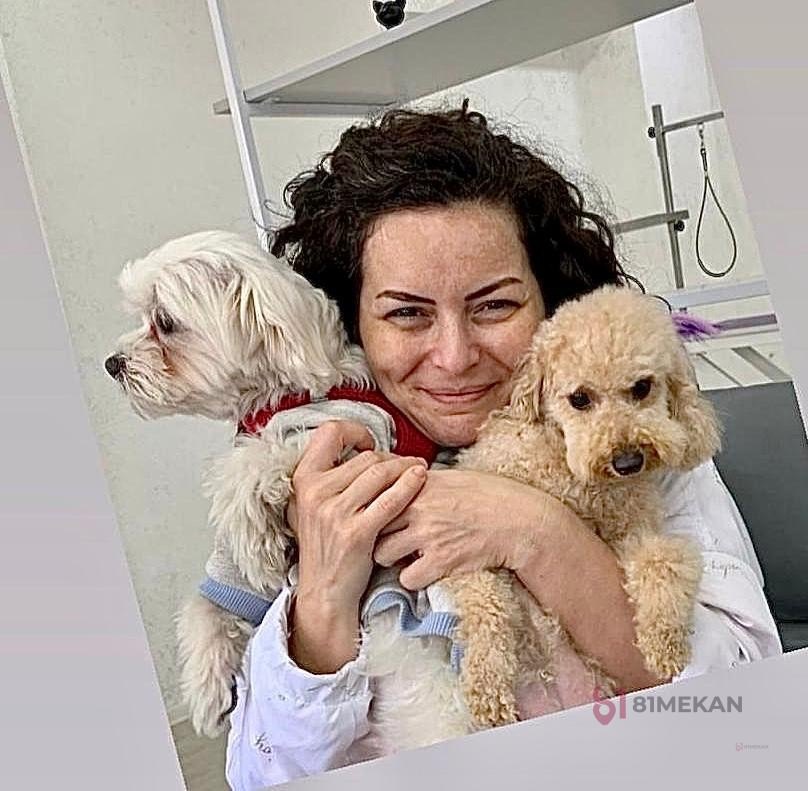 Just Pati Pet Kuaför - Veteriner Klinikleri