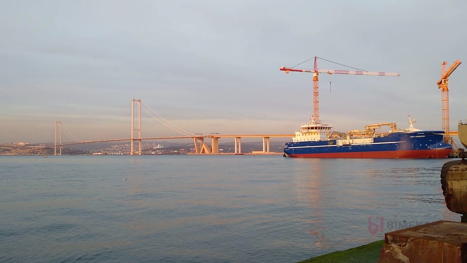 Sefine Shipyard - Türkiye - Mağazalar