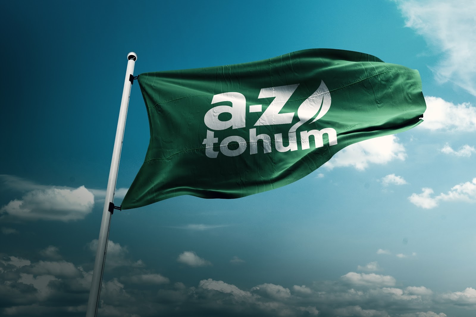 Az Tohum - Mağazalar