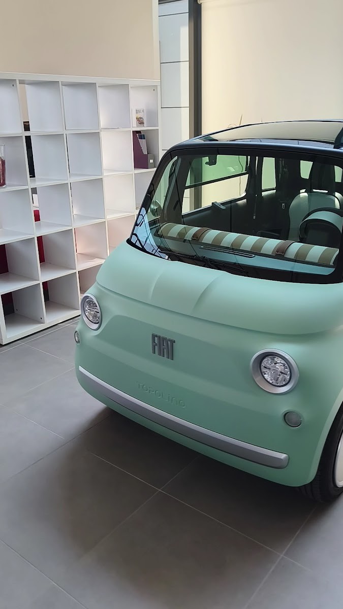 Fiat BİLALLER - Mağazalar