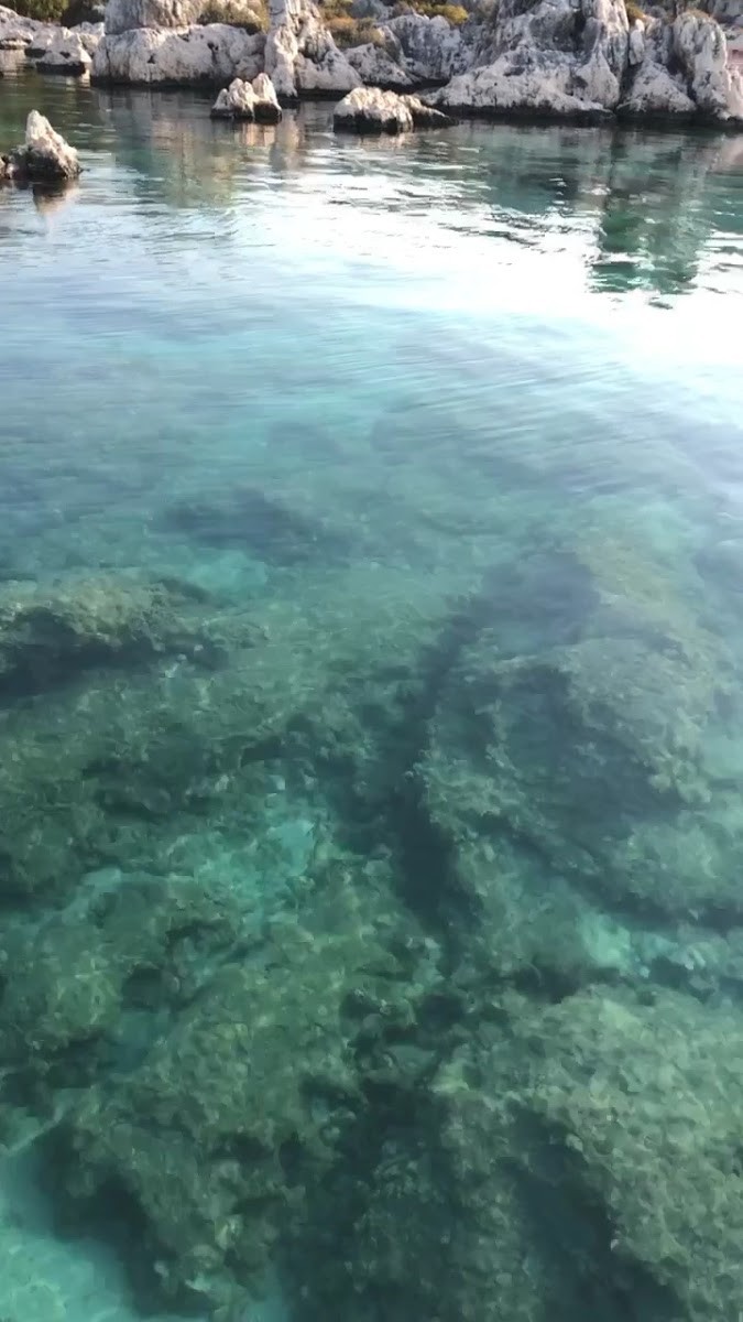 Kekova Tekne Turu Mutlu Kaptan | Kaşta Tekne Turu | Antalyada Tekne Turu | Demrede Tekne Turu | Kekova Özel Tekne Turu - Mağazalar