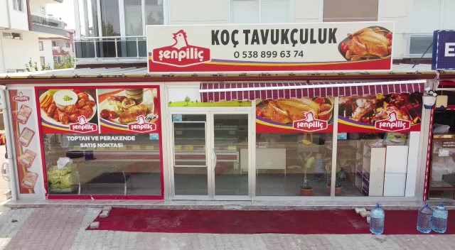 Koç tavukçuluk - Mağazalar
