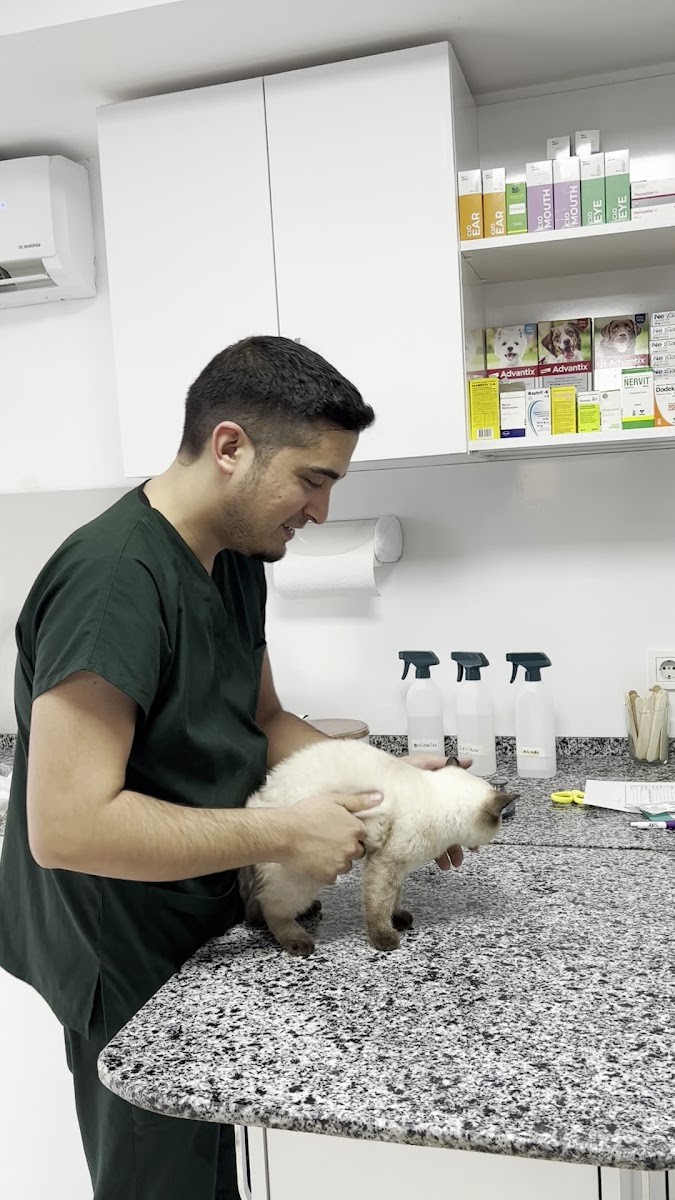 Luna Veteriner Kliniği - Veteriner Klinikleri