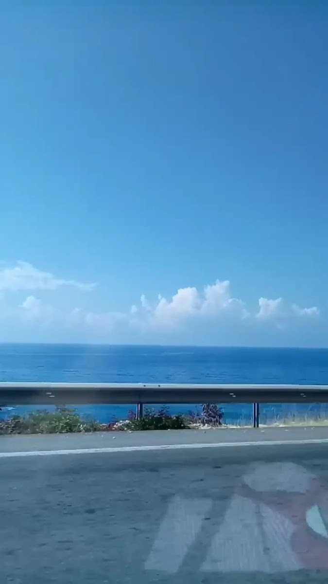 MARTI FİDE - Mağazalar