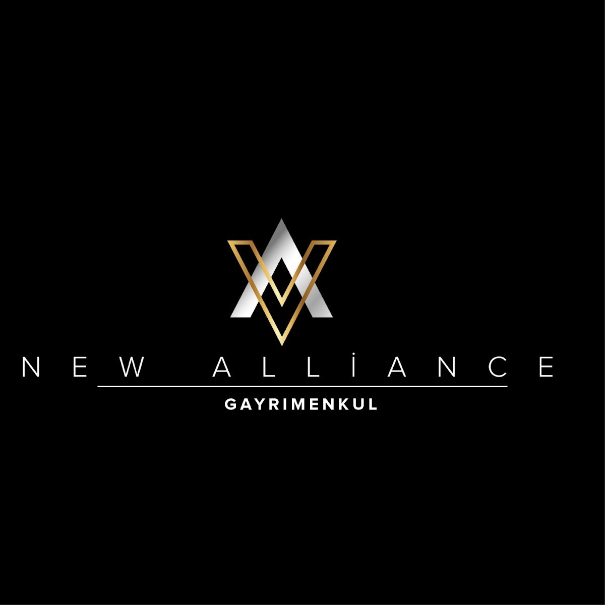 NEW ALLİANCE GAYRİMENKUL - Mağazalar