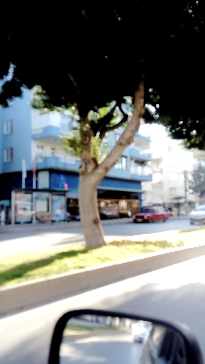 Ofis Market - Mağazalar