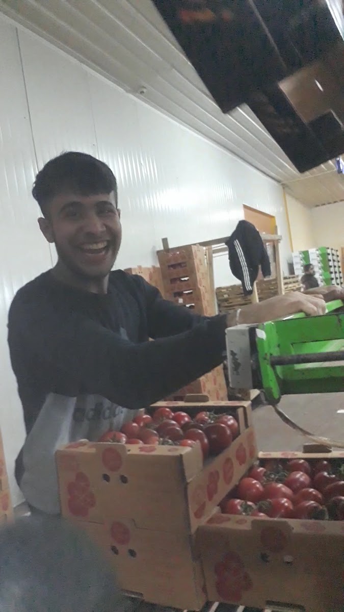 Sinerji Soğuk Hava Deposu - Mağazalar