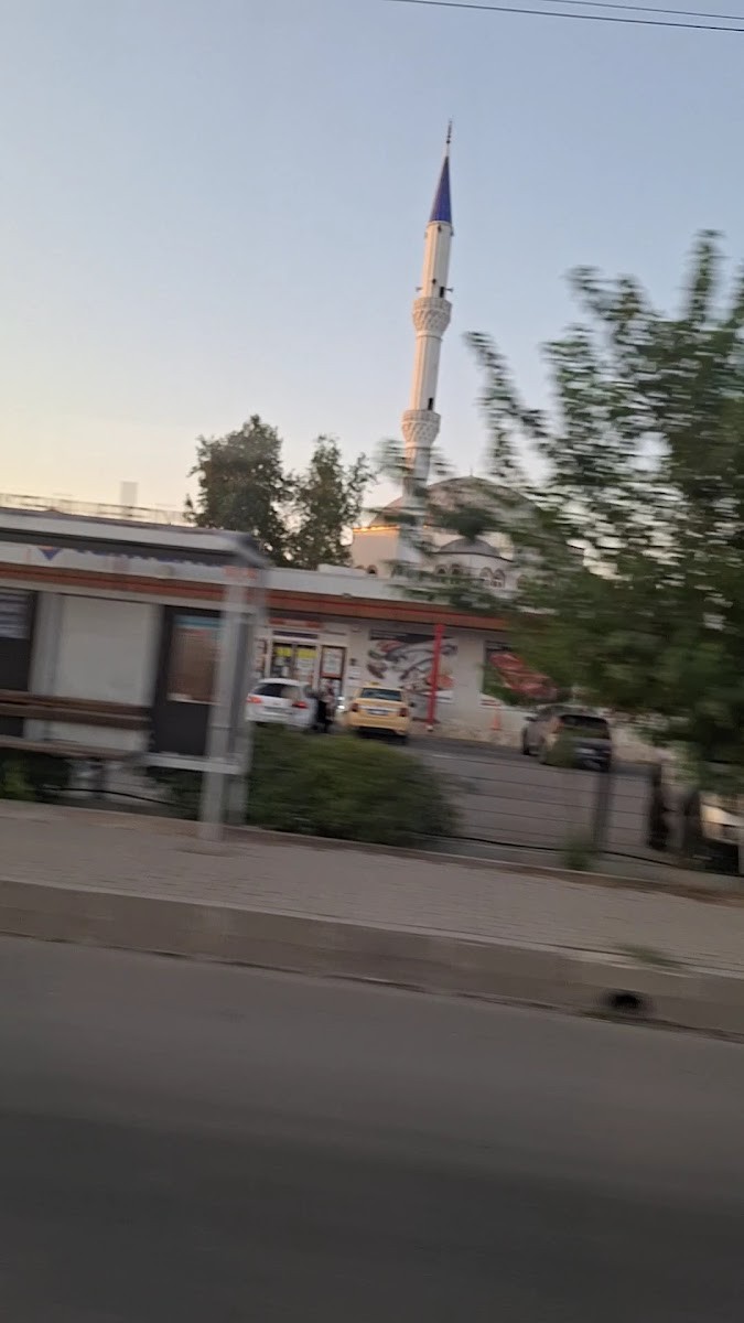Tahtakale Spot Düzlerçamı Şubesi - Mağazalar